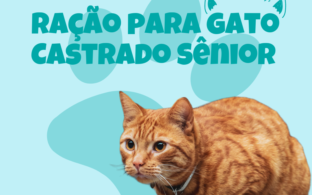 RAÇÃO GATO CASTRADO SÊNIOR