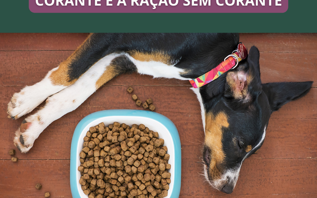 QUAL A DIFERENÇA DA RAÇÃO COM CORANTE E A RAÇÃO SEM CORANTE PARA OS PETS O QUE ISSO IMPLICA NA SAÚDE DO ANIMAL?
