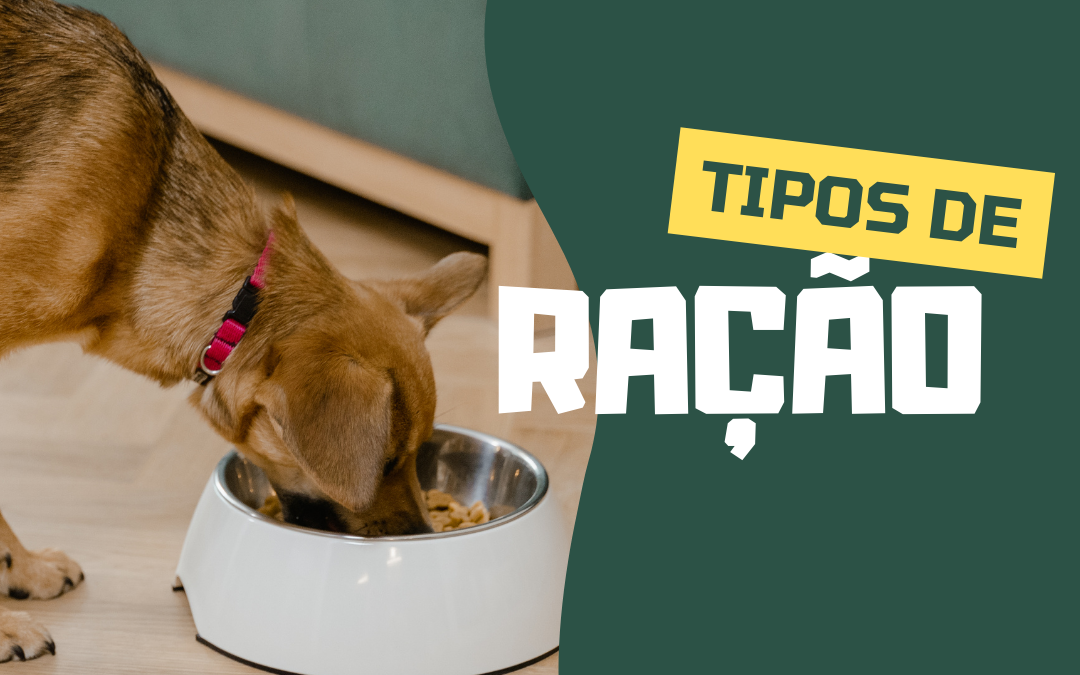 QUAIS AS DIFERENÇAS ENTRE OS TIPOS DE RAÇÃO?