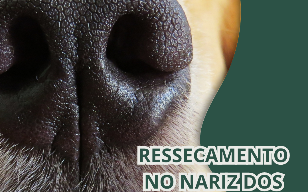RESSECAMENTO NO NARIZ DOS CÃES